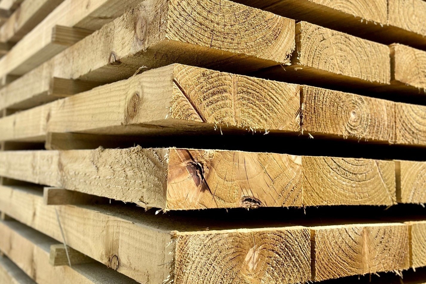 Namunukula Timber